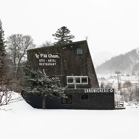 Hotel Gite-hotel Le P'tit Cham 2*