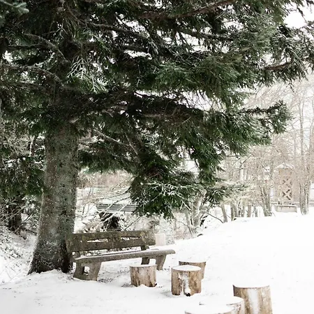 Le P'tit Cham, Au Pied Du Sancy Le Mont-Dore