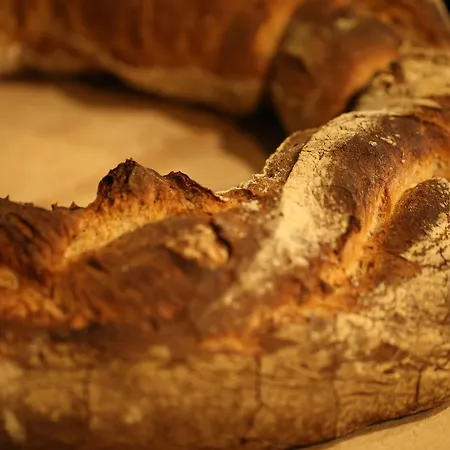 Gite-hotel Le P'tit Cham 2* ル・モンドール