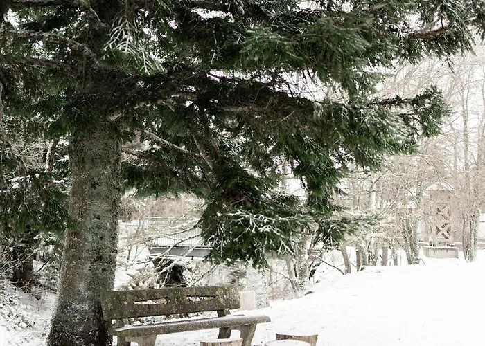 Gite-hotel Le P'tit Cham Mont-Dore